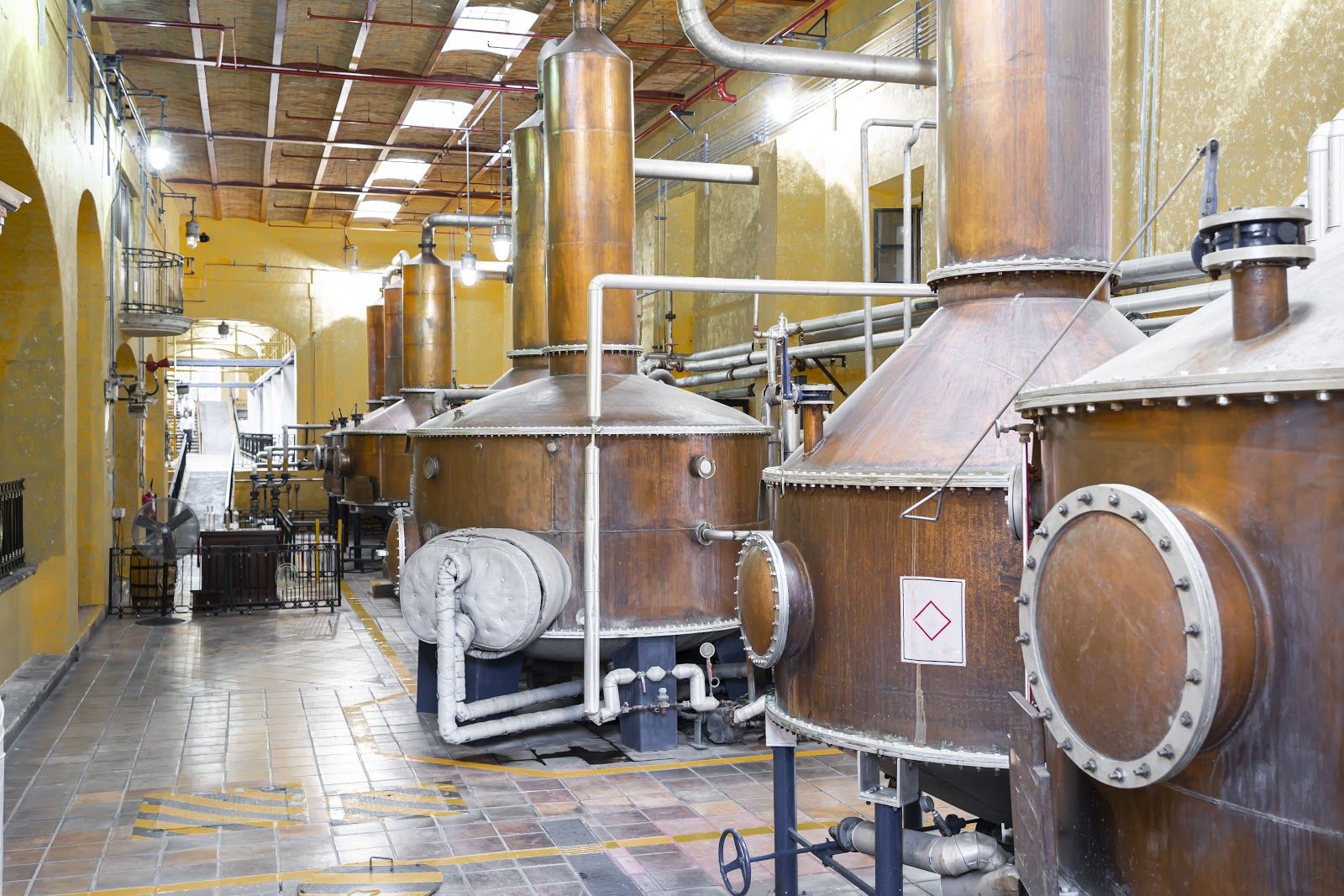 Mezcal Alcohol Content: What's the difference?