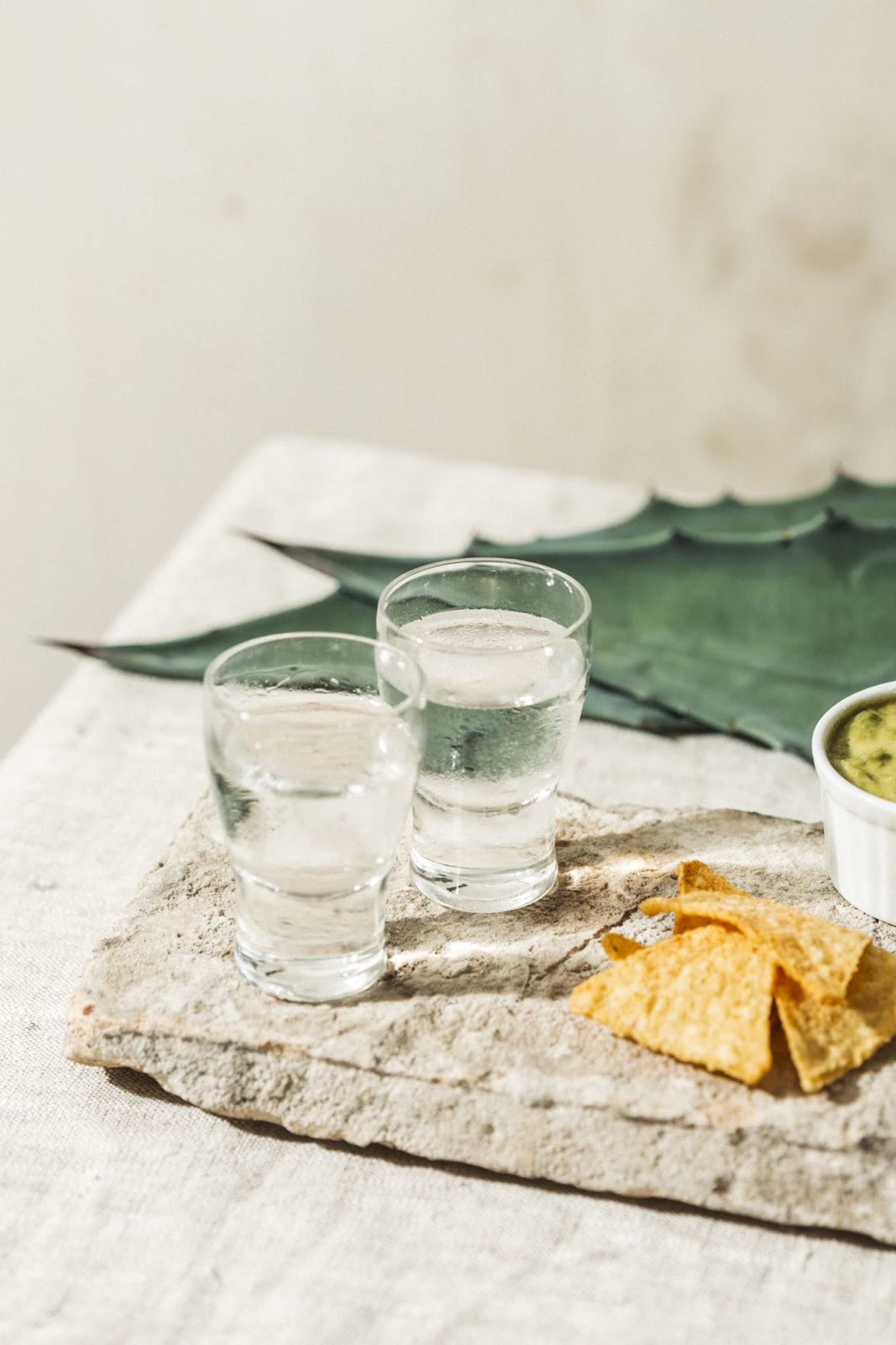 Mezcal Varieties—All the Types Explained