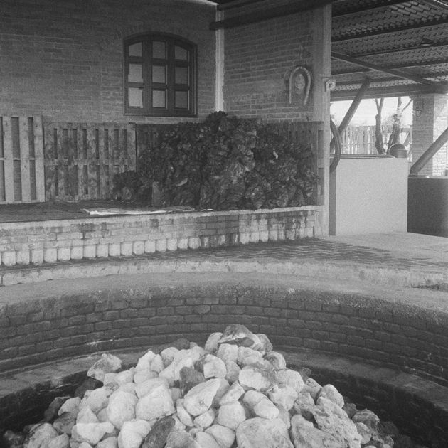 Photo of a Weber Blue Agave