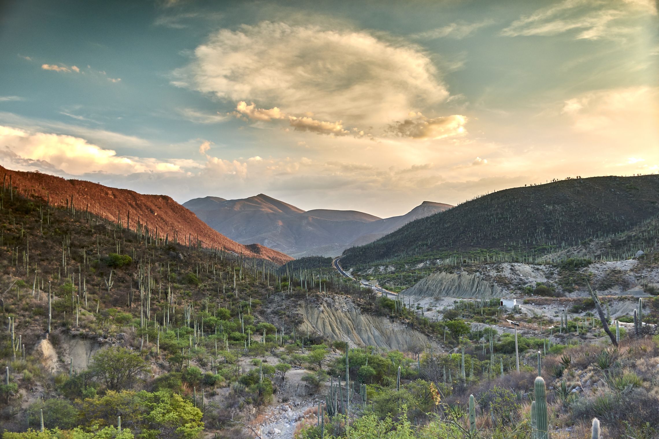 places to stay in Oaxaca