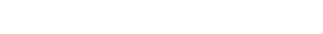 New Museum Logo