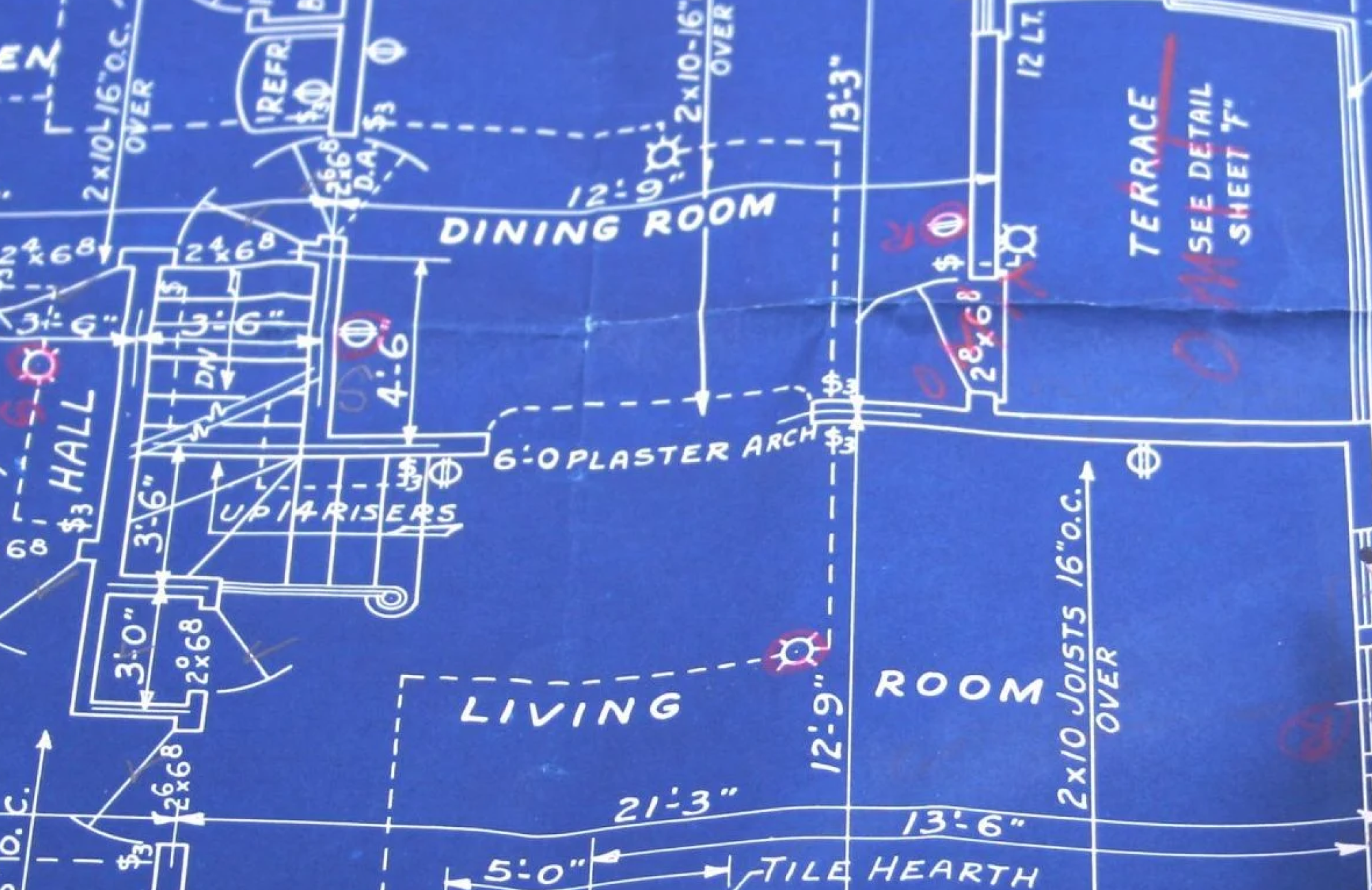Blueprint. Copyright Cotton Design, Talia Cotton