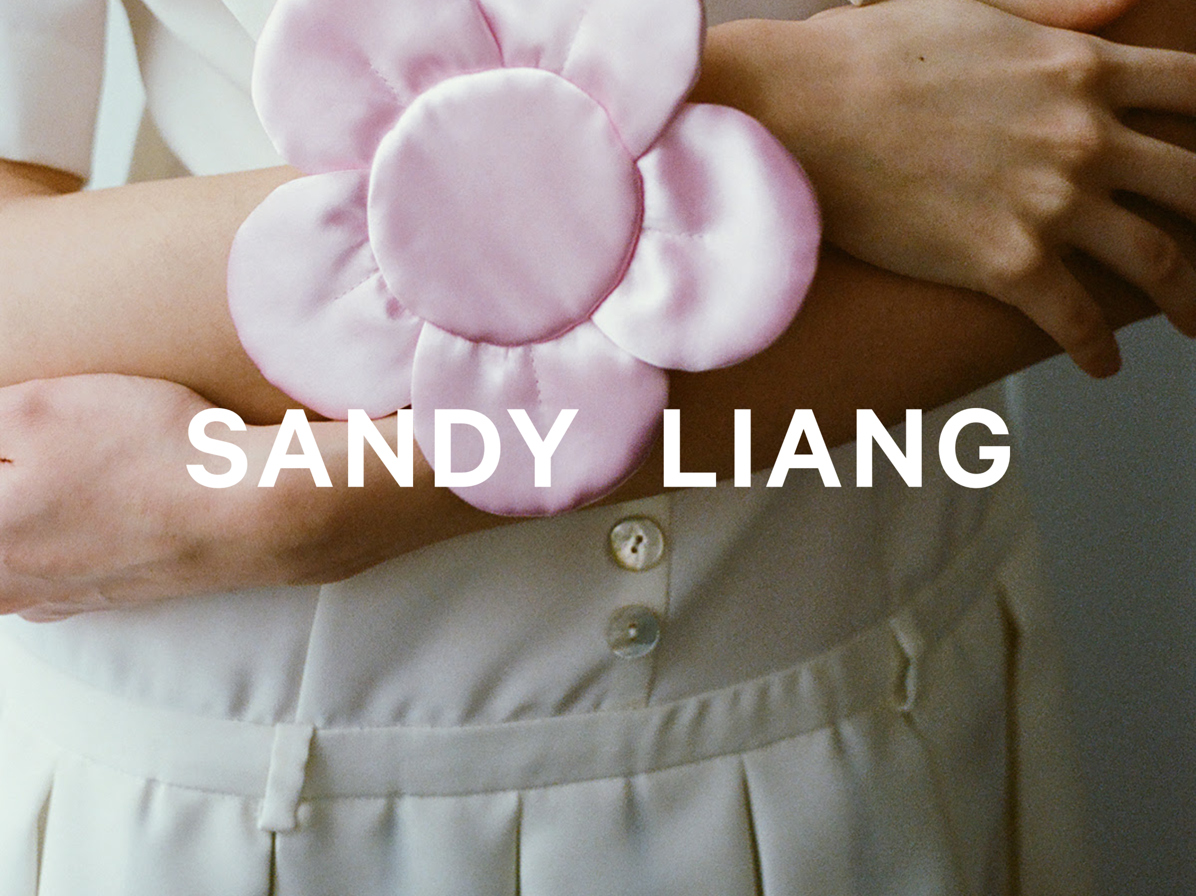 Sandy Liang