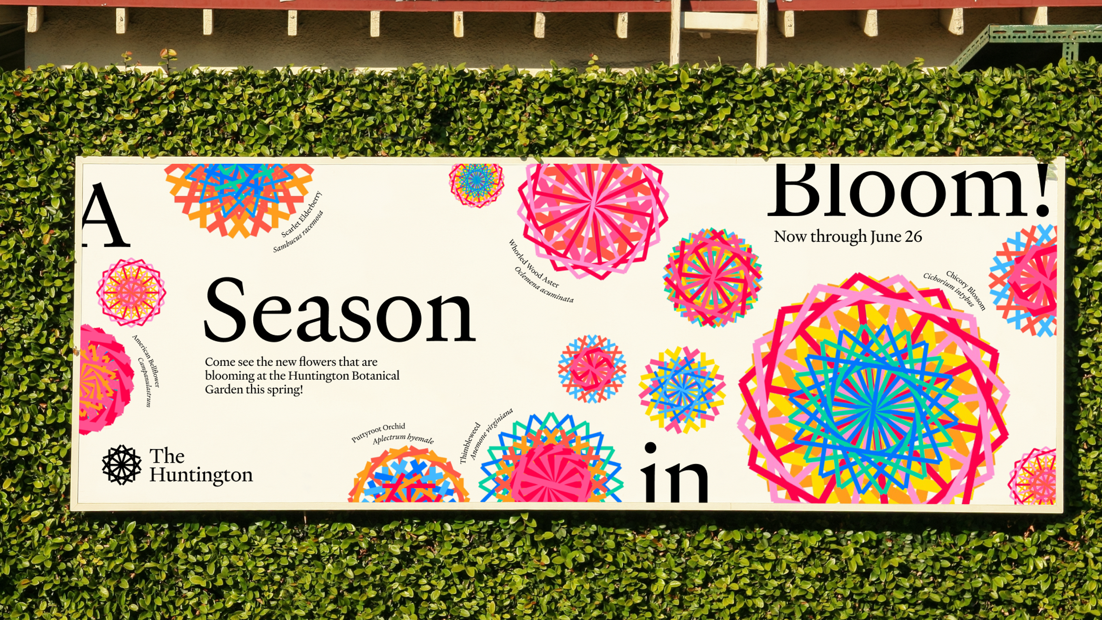 outdoor advertisement with shapes . Copyright Cotton Design, Talia Cotton