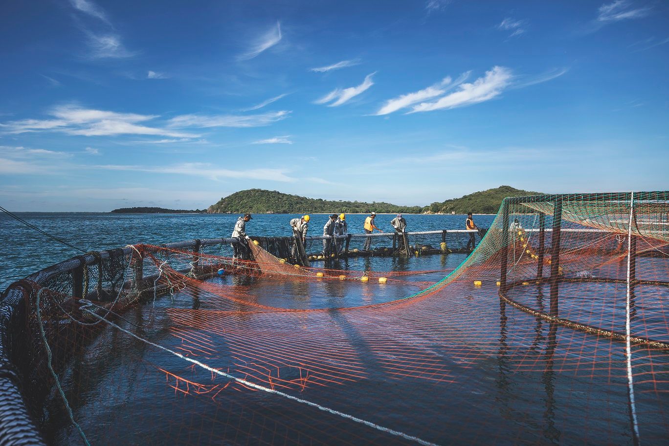 Global Fund for Coral Reefs and Oceanpick Partner to Transform Aquaculture and Support Coastal Communities in Sri Lanka