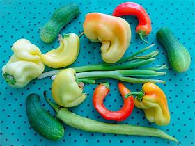 Too Ugly to Eat? Why Perfect Food Is Ruining Our Planet