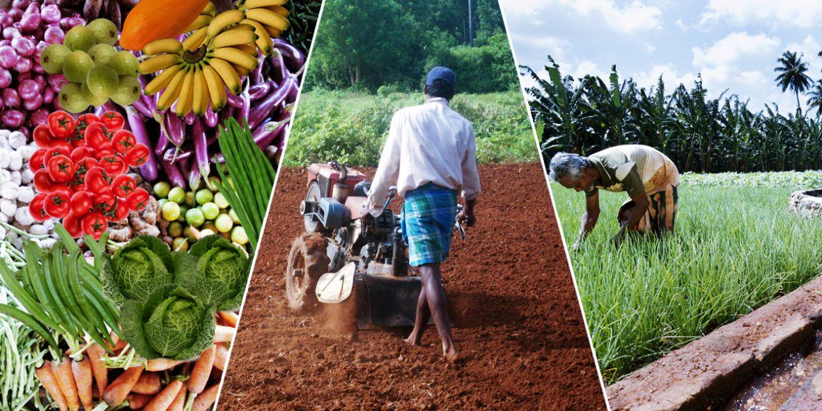 World Food Day 2021 – Strategic thinking on food security for Sri Lankans