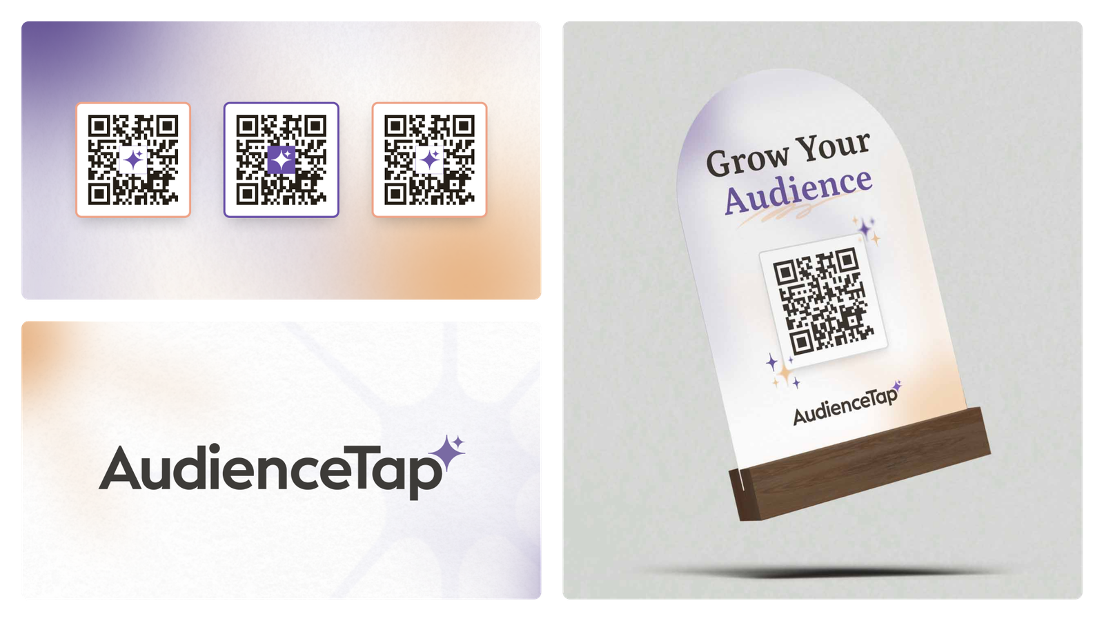 AudienceTap project screenshot 2