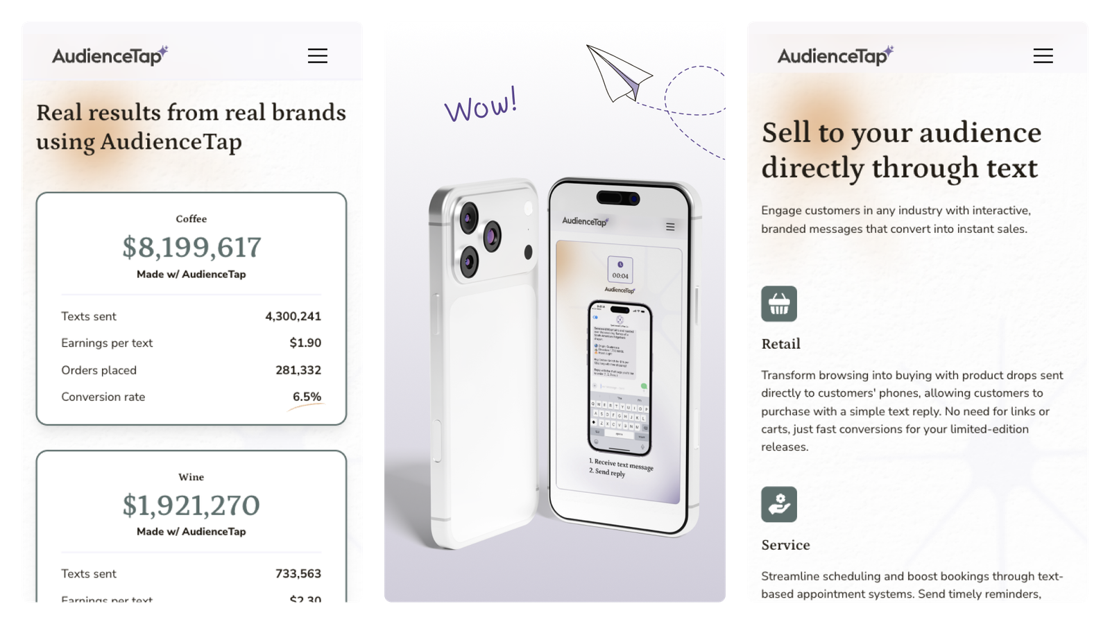 AudienceTap project screenshot 4