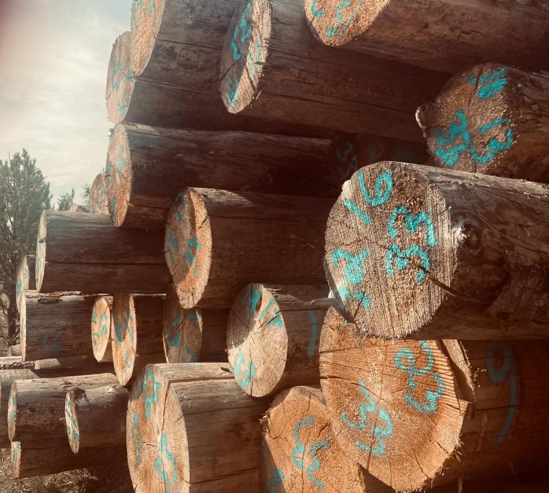 yard logs