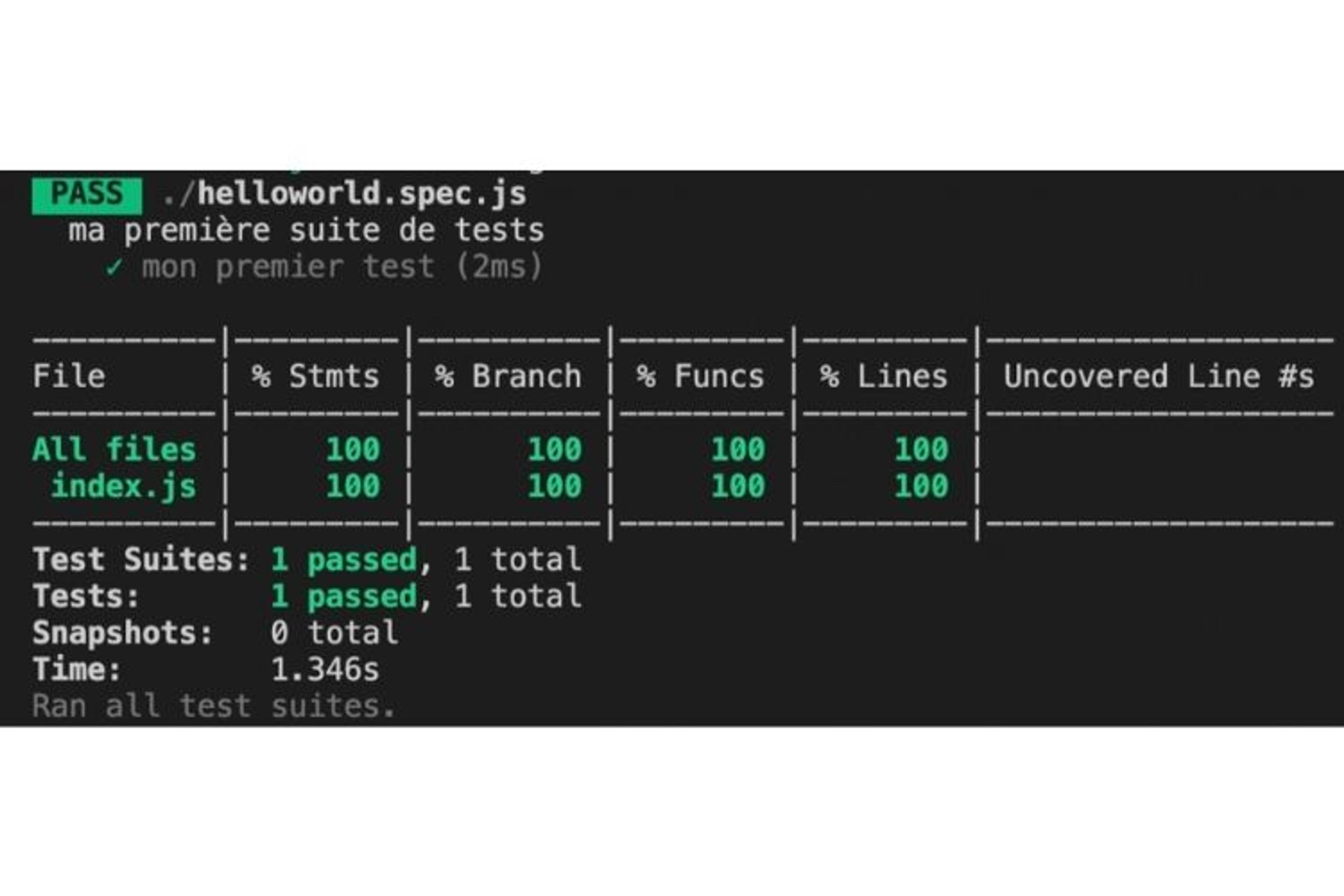 Notre couverture de test est à 100% car notre test unitaire passe bien par toutes les lignes de code du fichier index.js