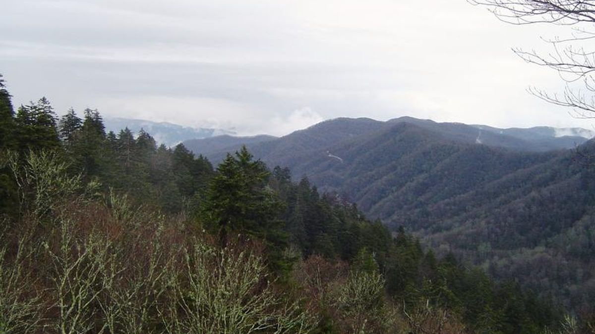 Cómo iniciar tu carrera