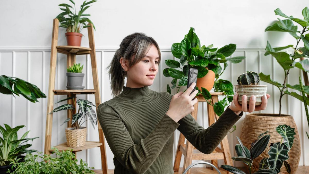 Tips on how to grow on social media