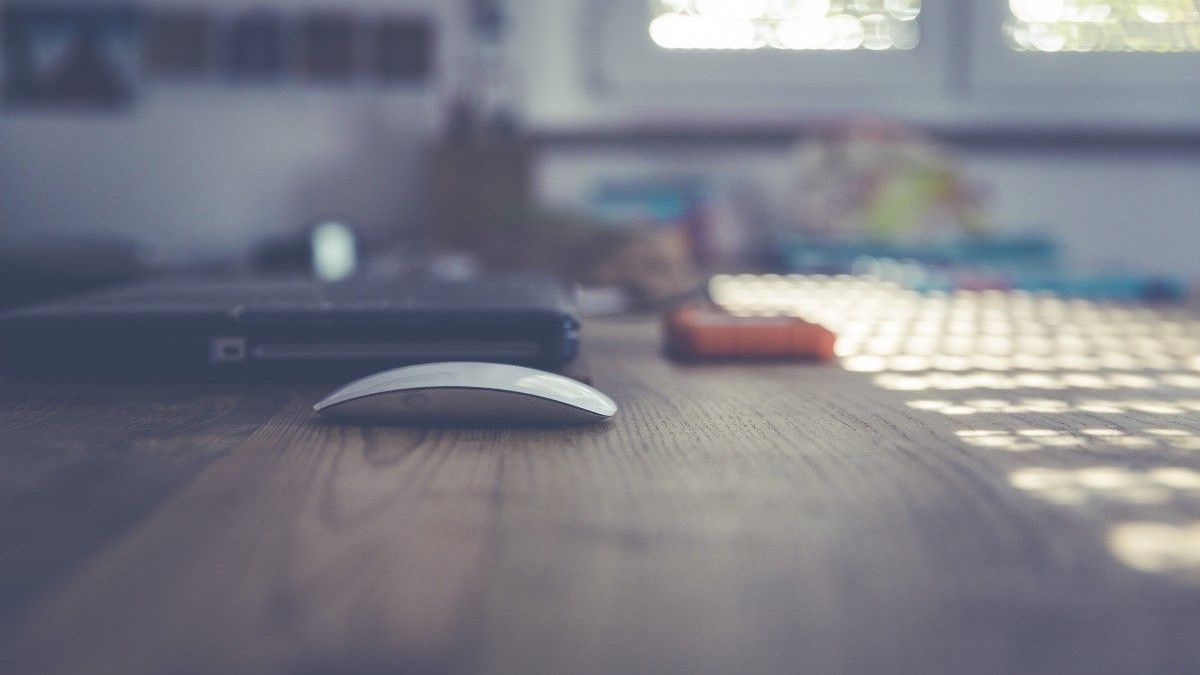 Work from home, freelance