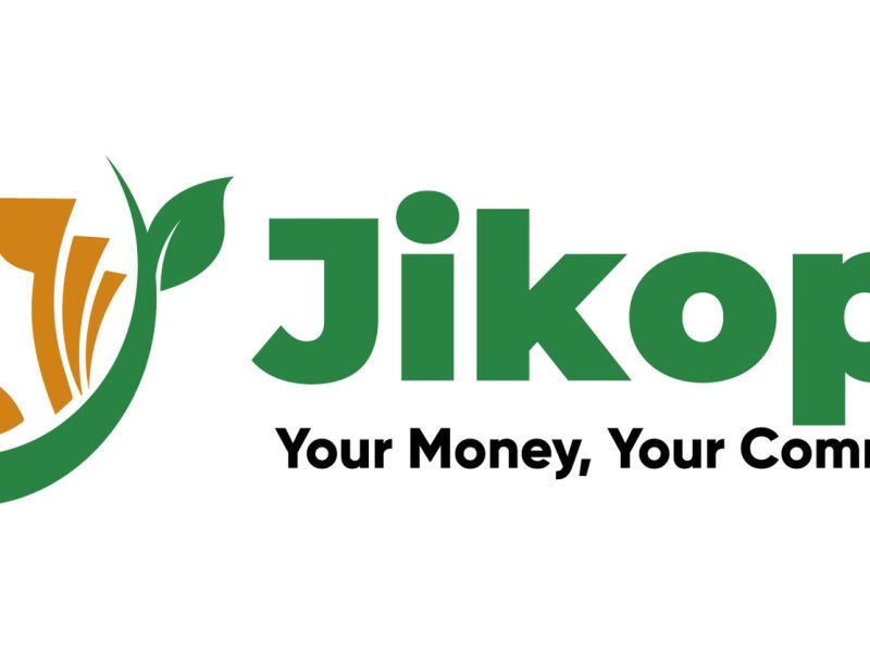 The Birth of Jikopa Fintech