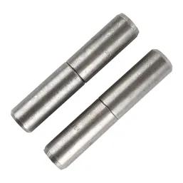 Bullet Hinge 100X25 Each