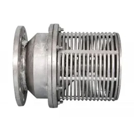 Flomax Footvalve Td Flanged 100Mm