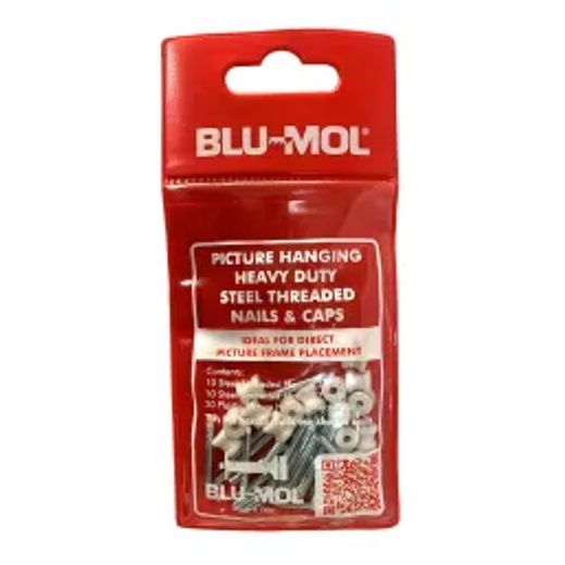 Blu-Mol Heavy Duty Steel Threaded Nail&Cap 22&27Mm