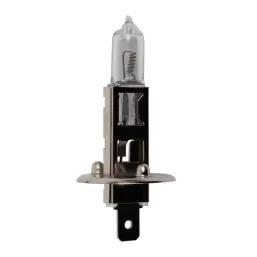 U-Part Globe 24V70W Halogen H1 Glh1005 213039 1Pck
