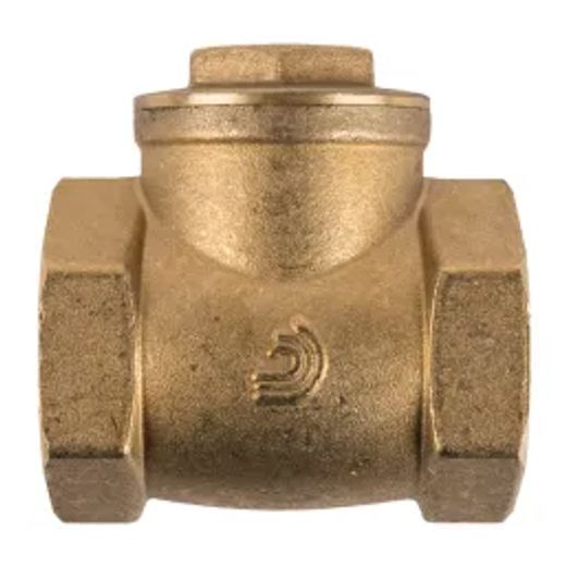 Torrenti Valve Swing Check Brass 40Mm