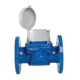 Water Meter 100Mm Woltman Infinity Evo Class B