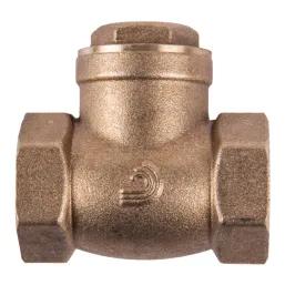 Torrenti Valve Swing Check Brass 20Mm