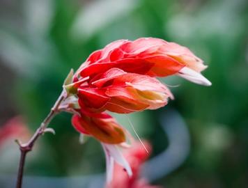 Decoding the General Ledger Reconciliation Meaning: An In-Depth Guide for Finance Professionals