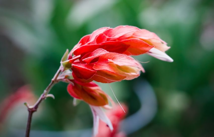 Decoding the General Ledger Reconciliation Meaning: An In-Depth Guide for Finance Professionals