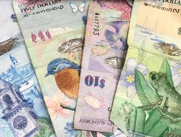 Mastering Financial Reconciliation: A Comprehensive Guide for Finance Professionals