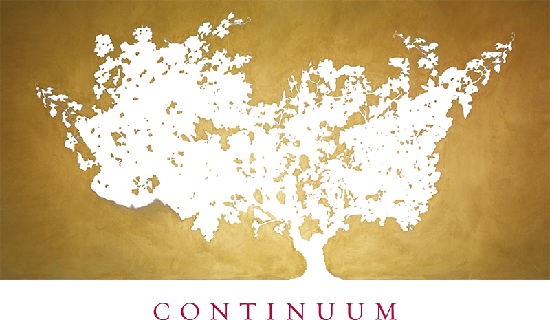 Continuum Logo
