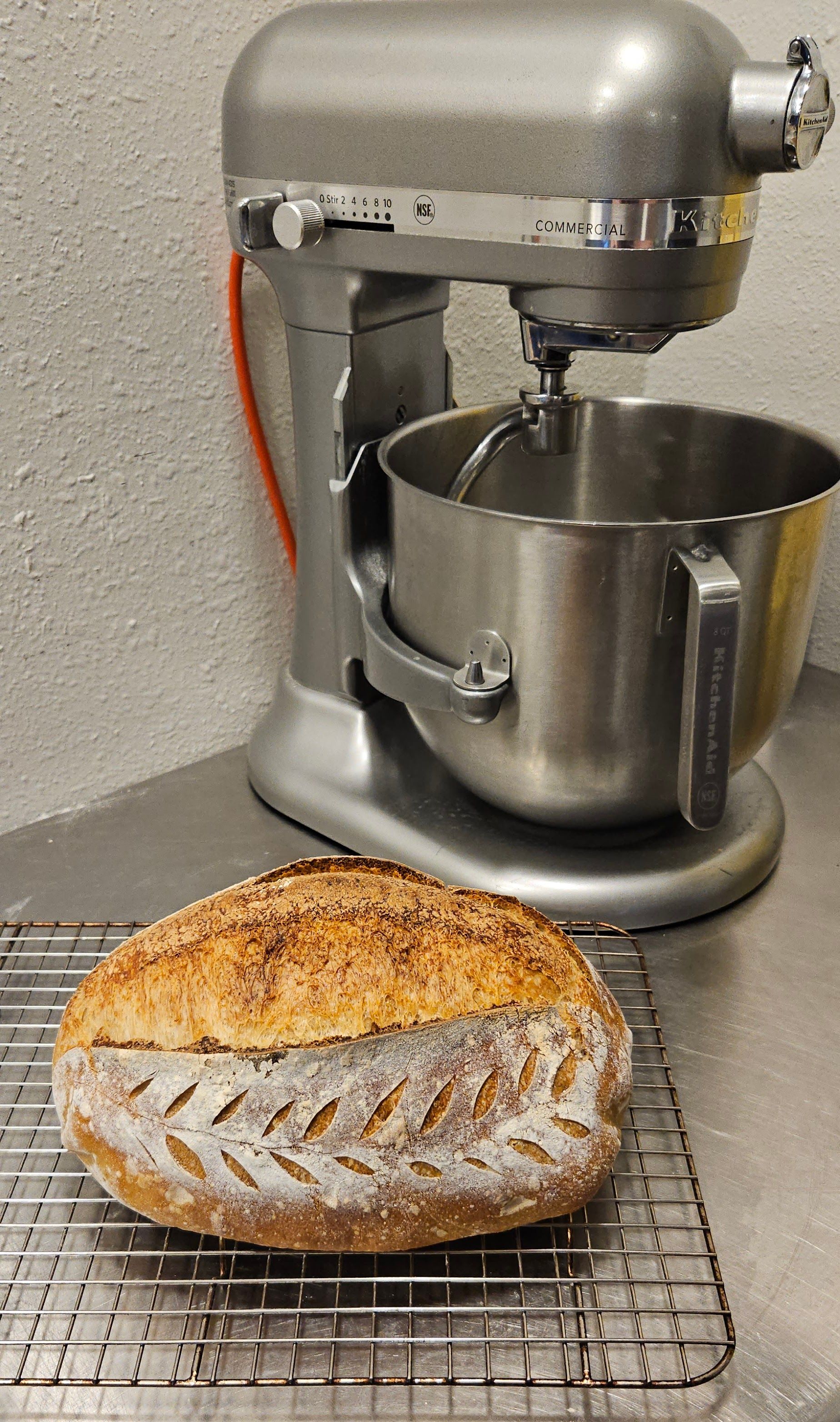 Sourdough Mastery When Your Hands Are Full