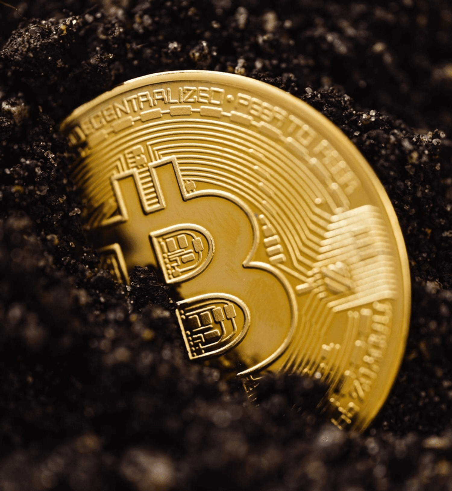 Cryptocurrency Payments Now Available at Shelter Market