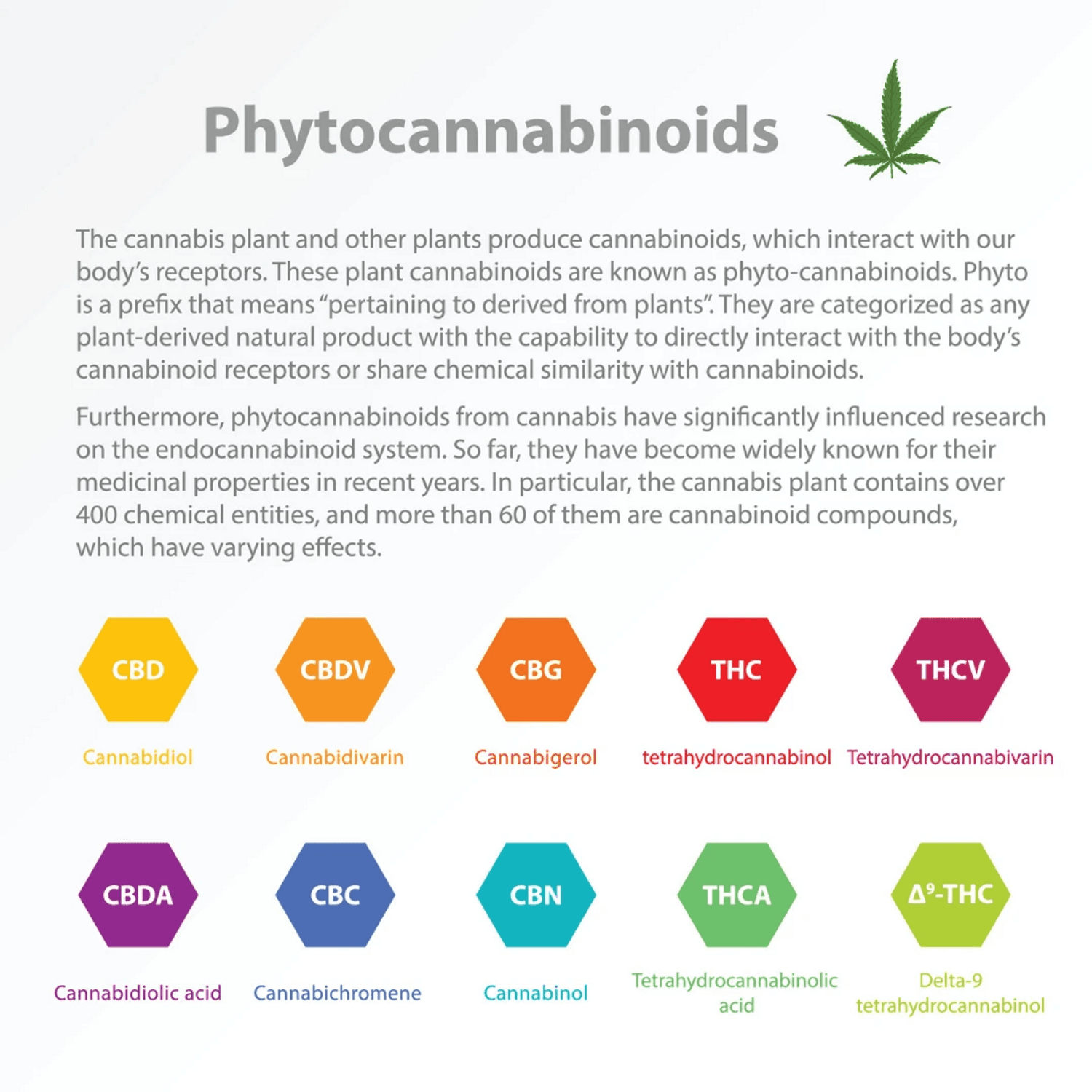 Understanding Cannabis: Phytocannabinoids