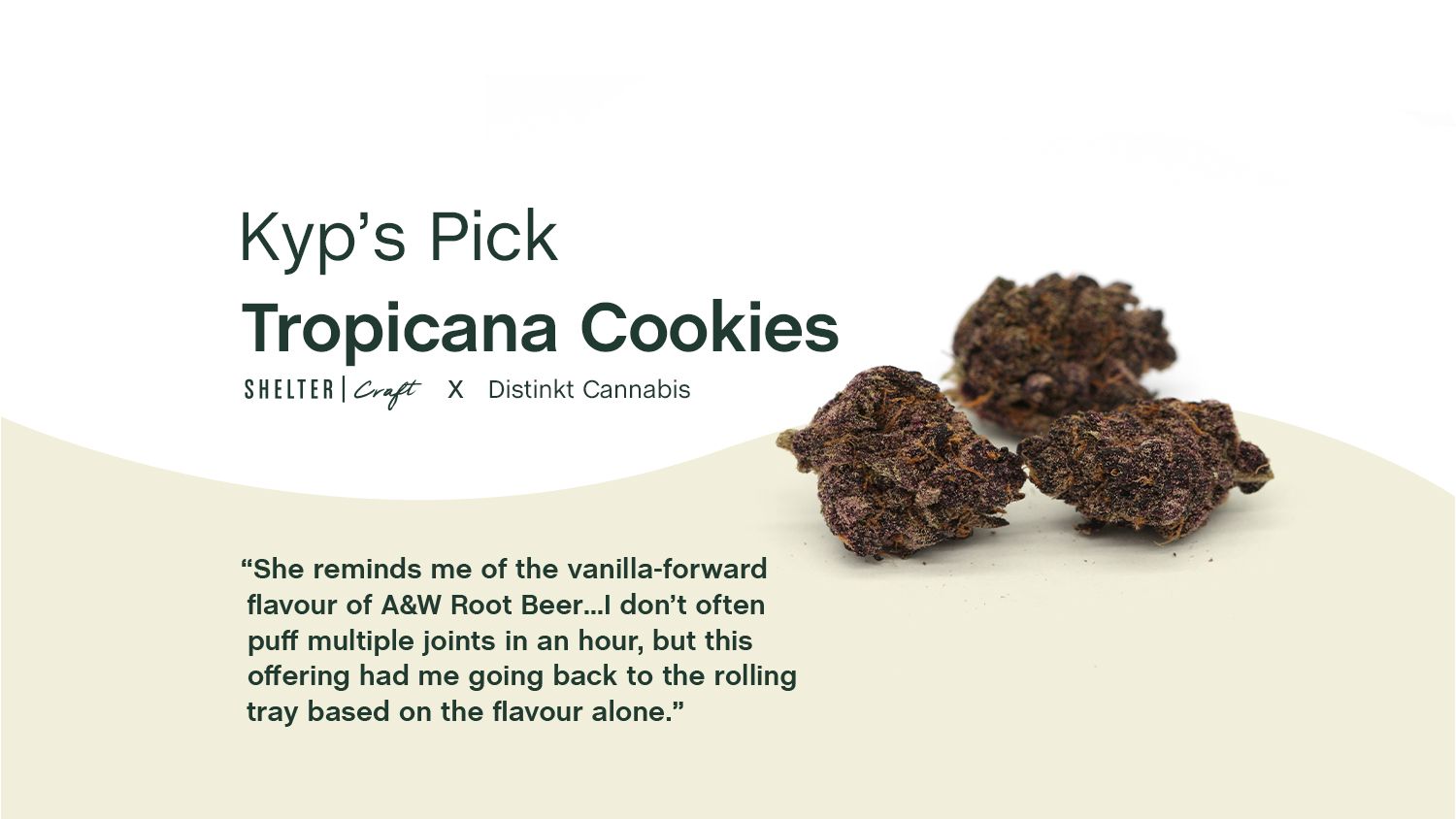 Kyp's Pick: Shelter Craft Distinkt Tropicana Cookies