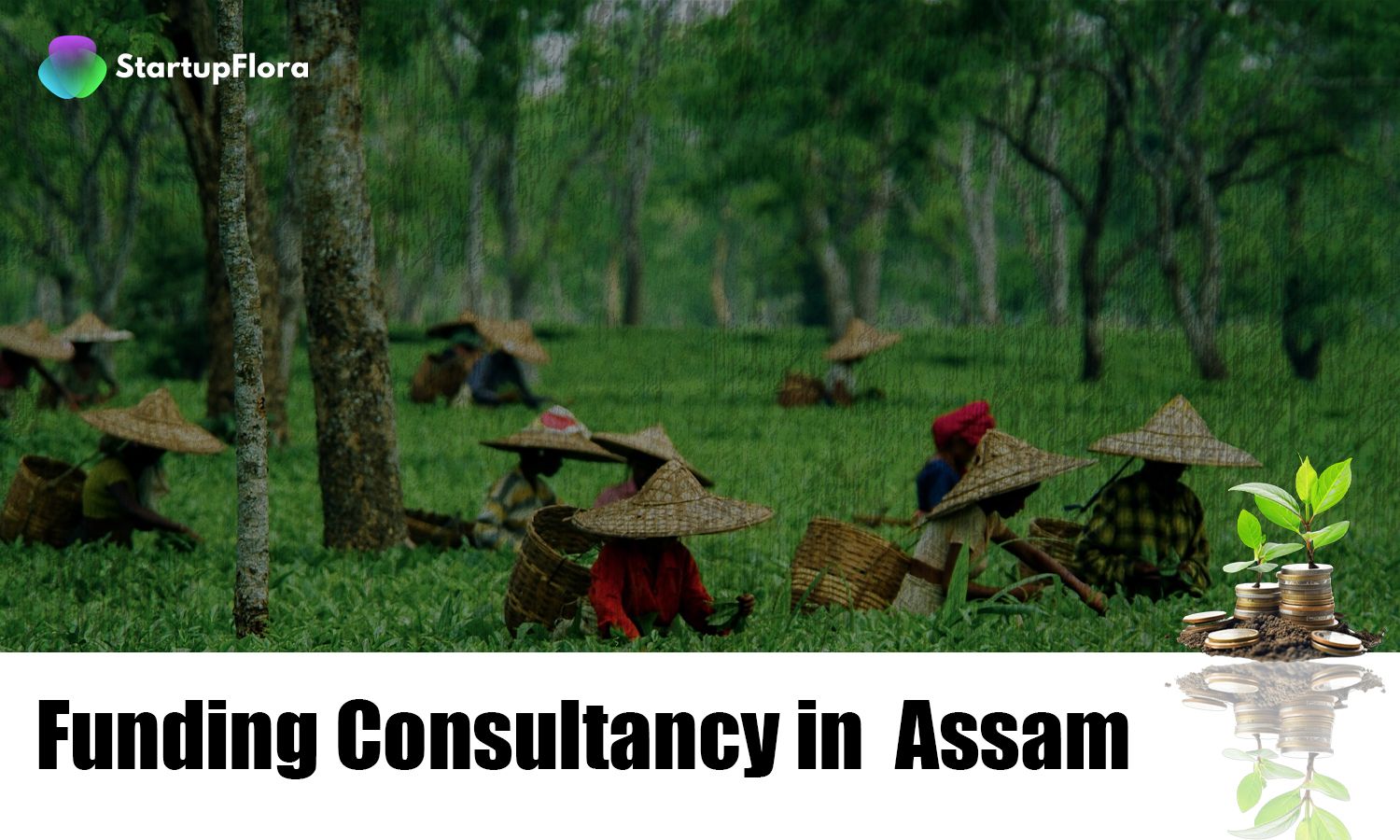 Funding Consultancy in Assam 
