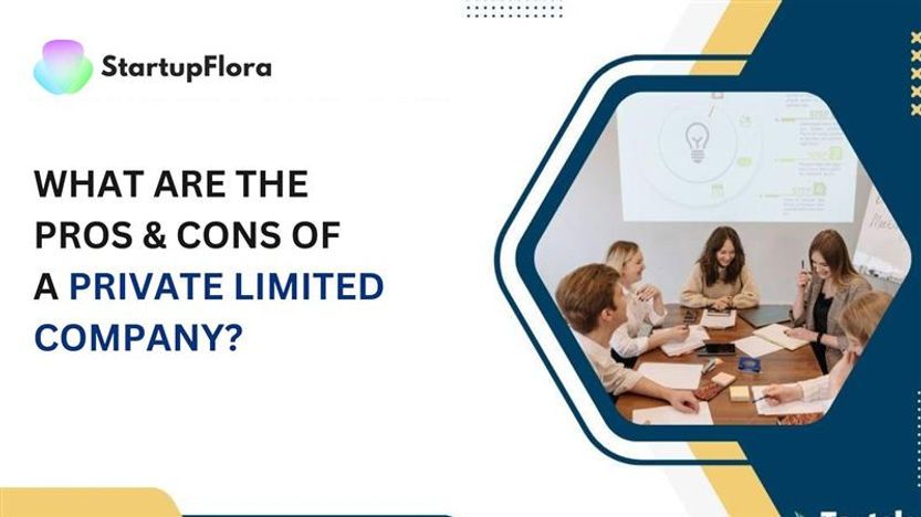 What Are The Pros & Cons of A Private Limited Company?