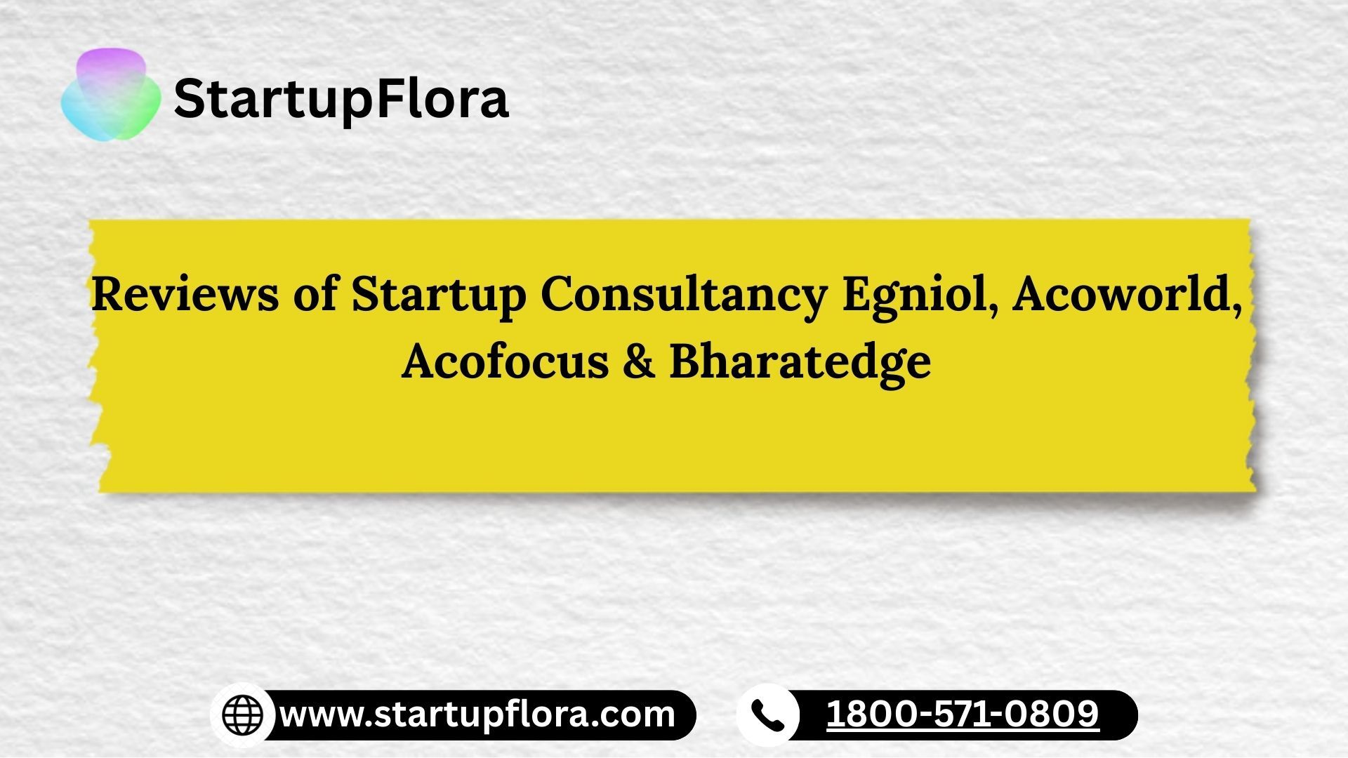 Reviews of Startup Consultancy Firms-Egniol, Acoworld, Acofocus & Bharatedge