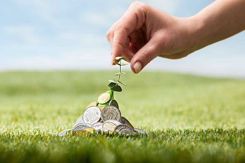 The Power Of Seed Funding: How StartupFlora Is Helping Entrepreneurs Grow