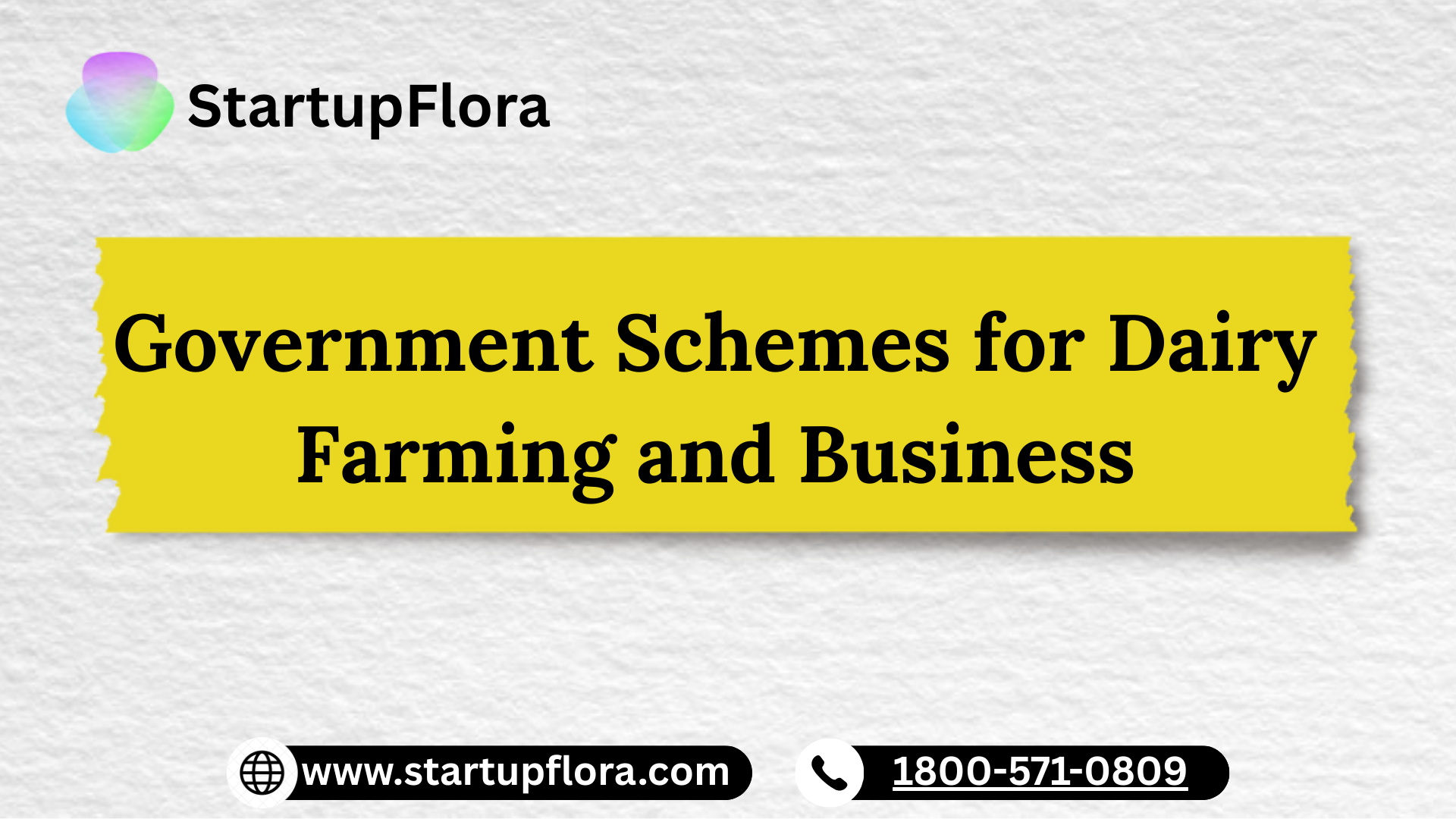 Government Schemes for Dairy Farming and Business