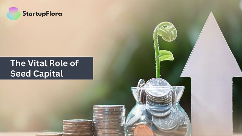 The Vital Role of Seed Capital