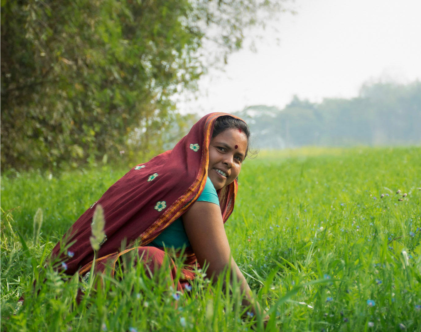 How Is NAIFF Helping The Growth Of the Agriculture Sector?