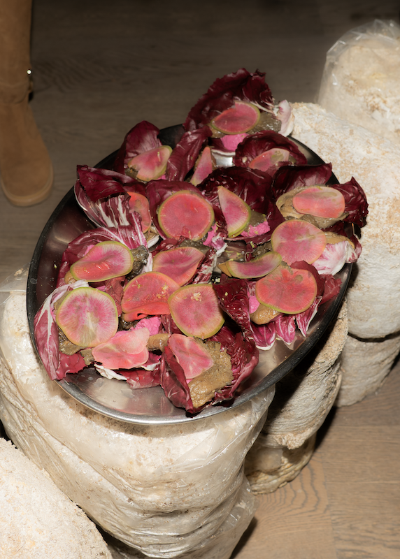 FERUS Event Fungi Affair Food Installation