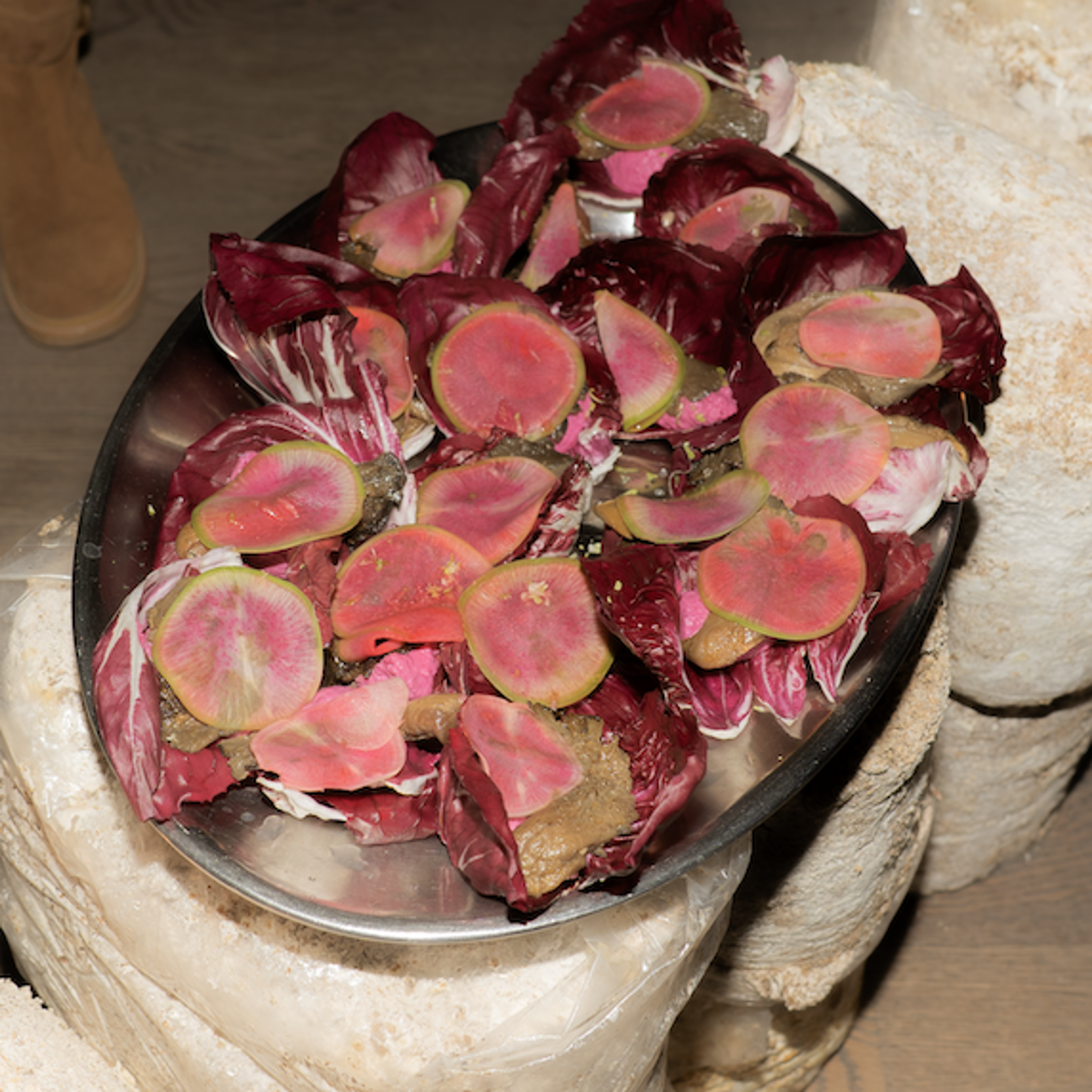 FERUS Event Fungi Affair Food Installation