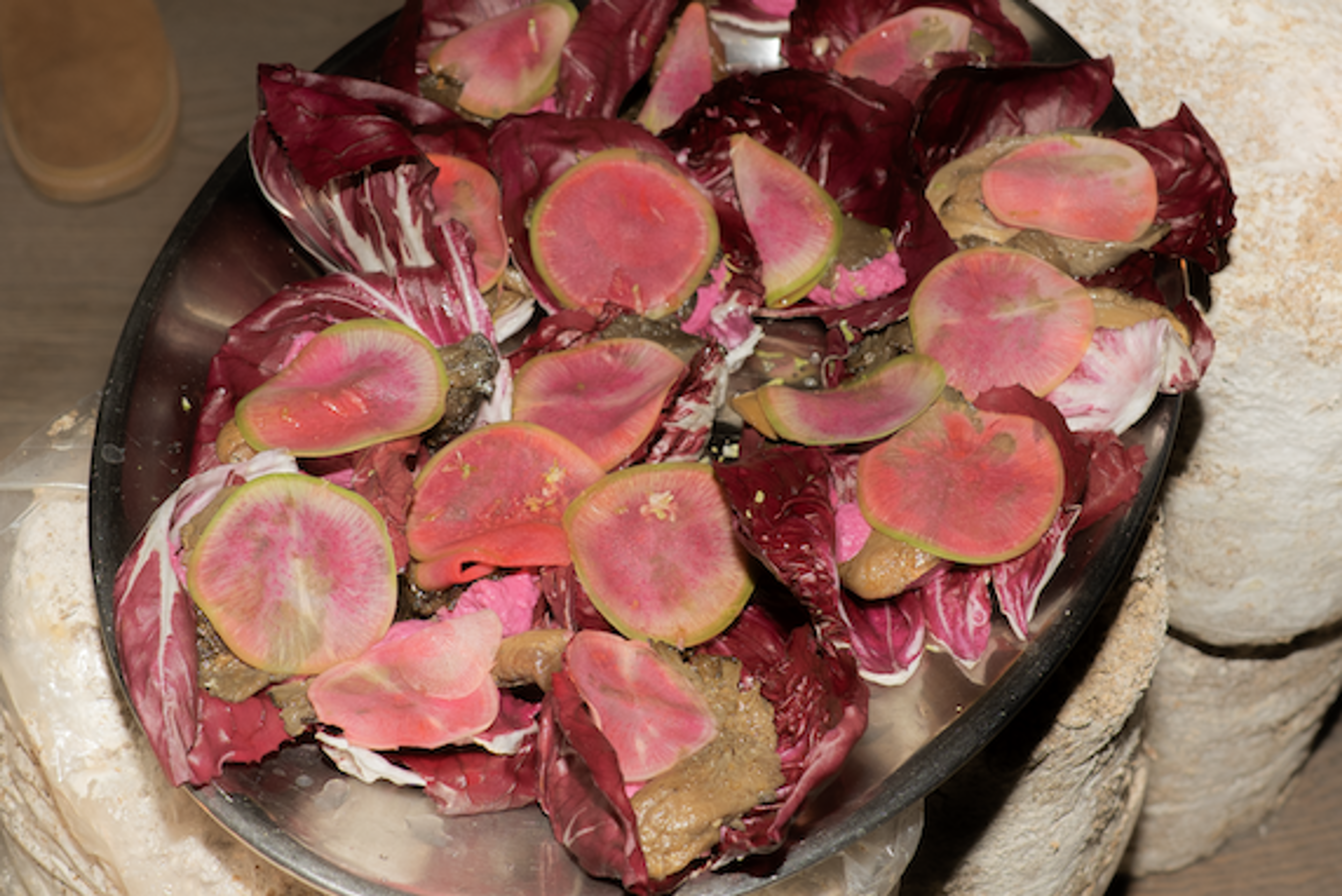 FERUS Event Fungi Affair Food Installation