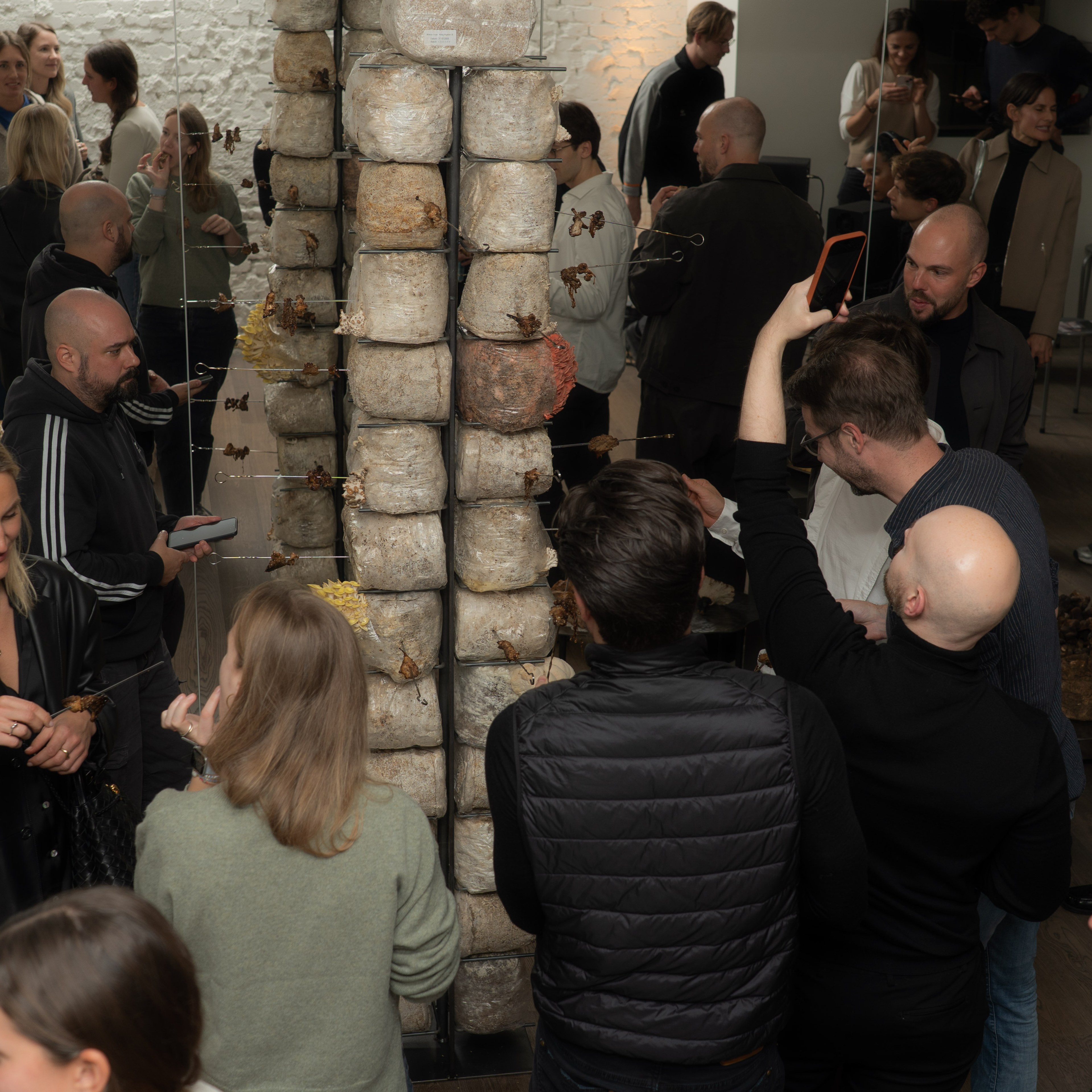 FERUS Event Fungi Affair