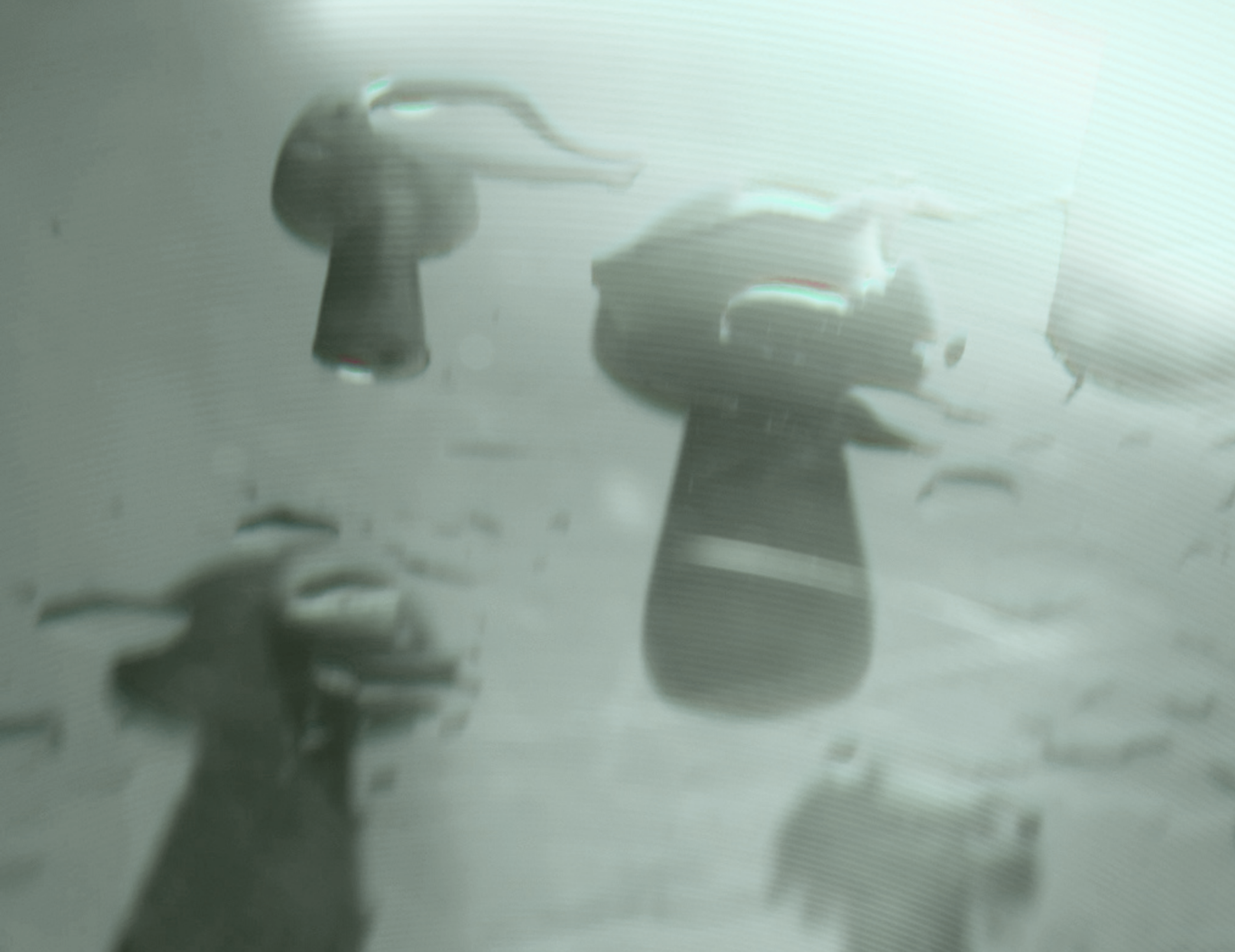 SCHLOSS Zermatt FLOW Week Visual