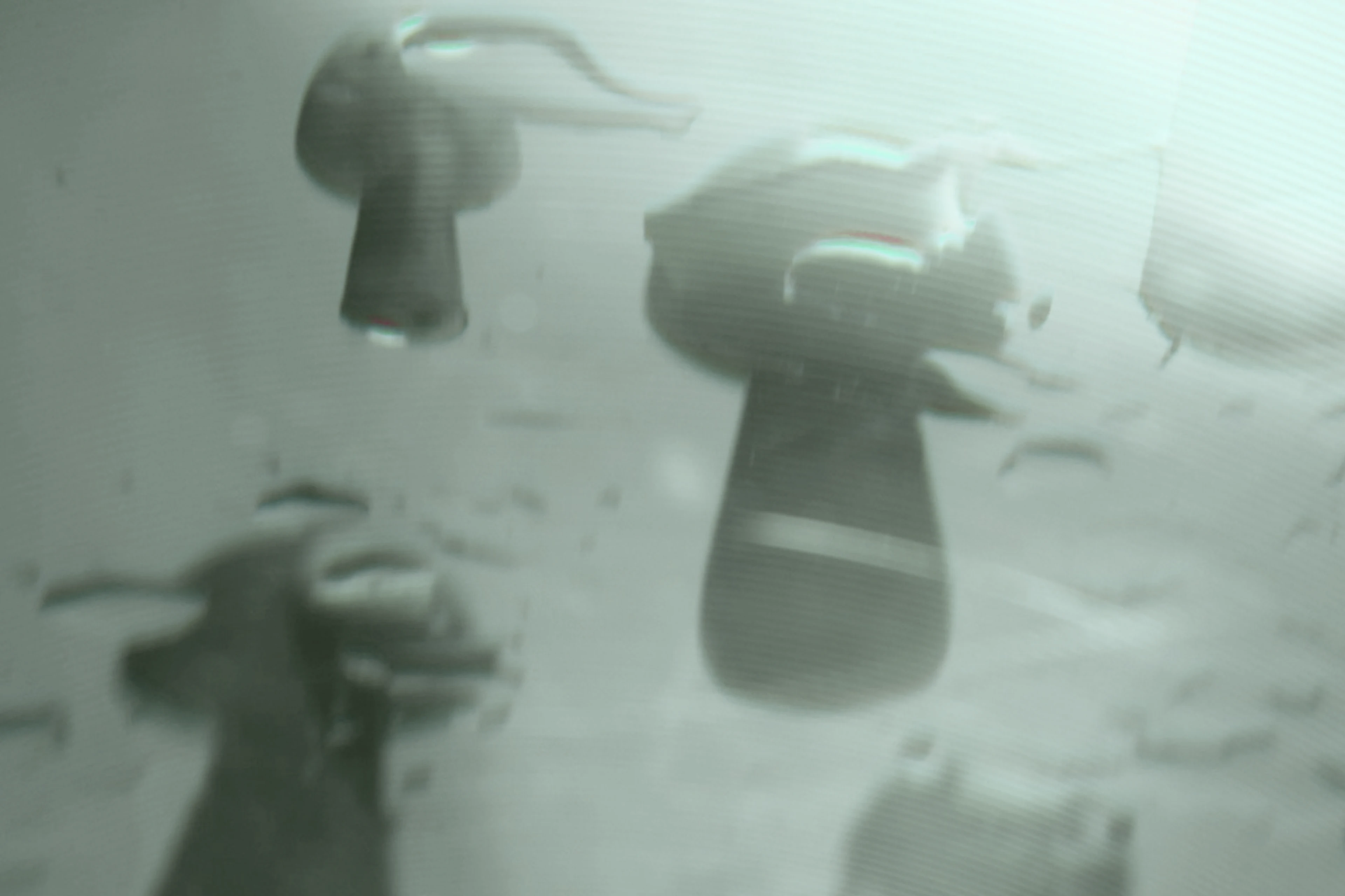 SHZ - FLOW Image.png