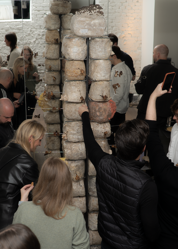 Food Installation and People