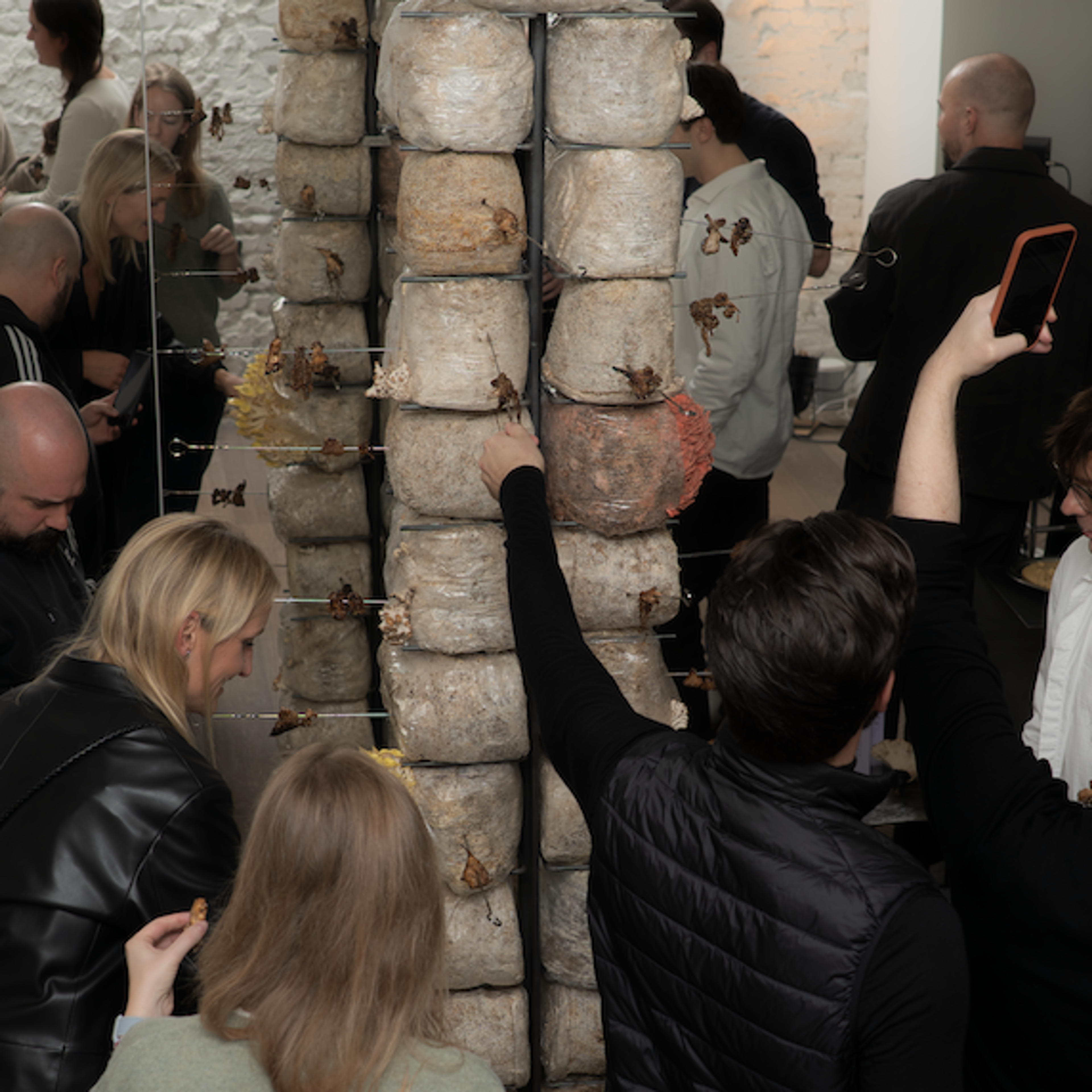 Food Installation and People