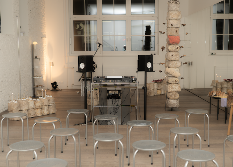 FERUS Event Fungi Affair Panel Talk Set-up